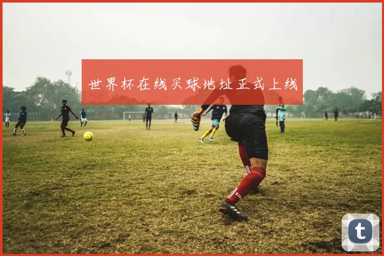 世界杯在线买球地址正式上线