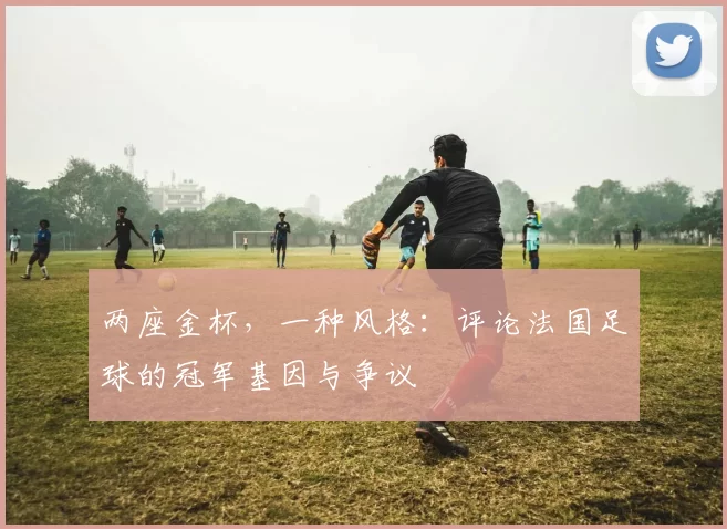 两座金杯,一种风格:评论法国足球的冠军基因与争议