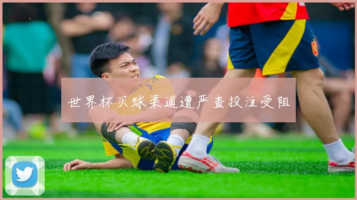 世界杯买球渠道遭严查投注受阻