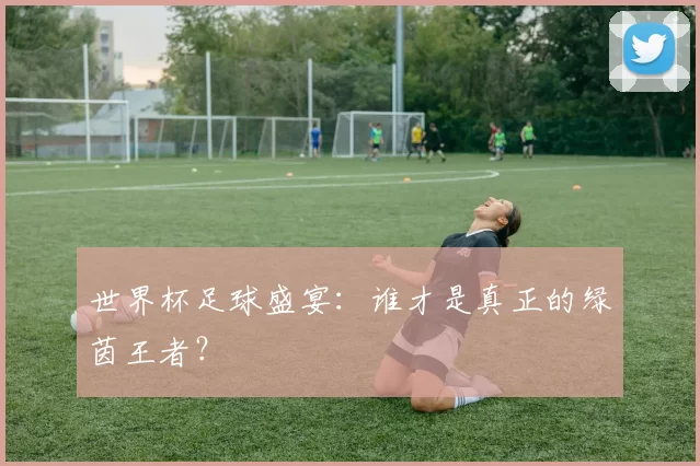 世界杯足球盛宴:谁才是真正的绿茵王者?