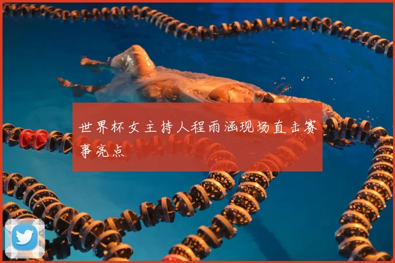 世界杯女主持人程雨涵现场直击赛事亮点