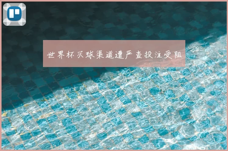 世界杯买球渠道遭严查投注受阻