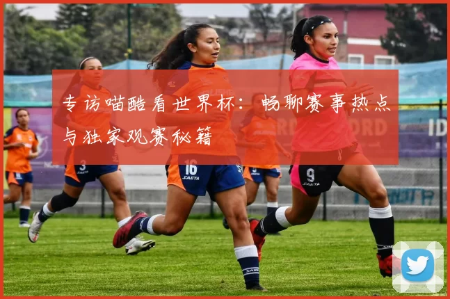 专访喵酷看世界杯:畅聊赛事热点与独家观赛秘籍