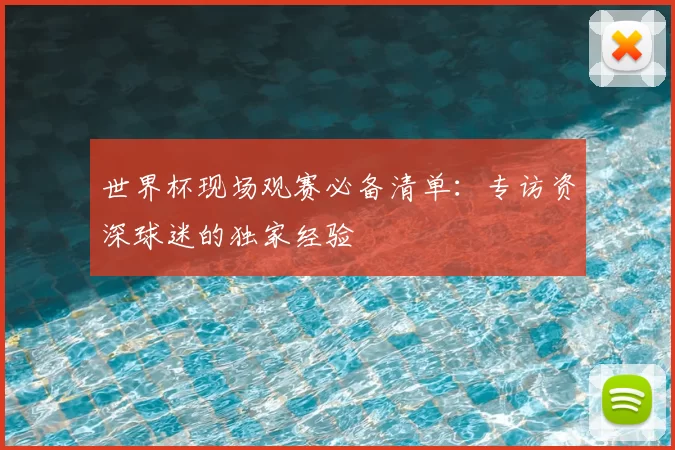 世界杯现场观赛必备清单:专访资深球迷的独家经验