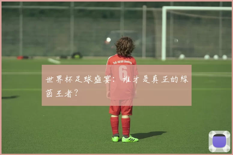 世界杯足球盛宴：谁才是真正的绿茵王者？