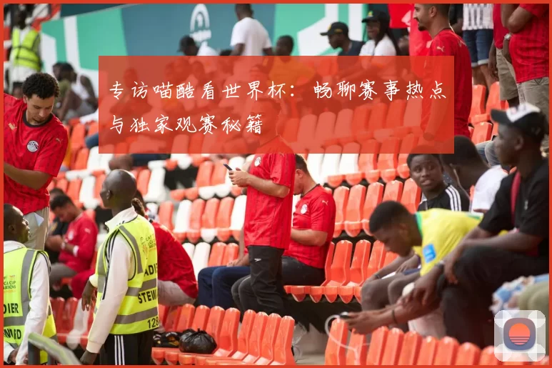 专访喵酷看世界杯：畅聊赛事热点与独家观赛秘籍