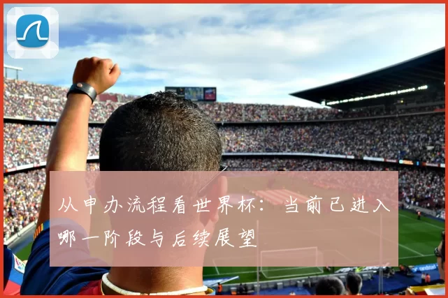 从申办流程看世界杯:当前已进入哪一阶段与后续展望