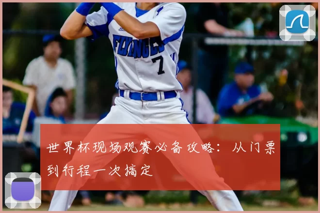 世界杯现场观赛必备攻略:从门票到行程一次搞定