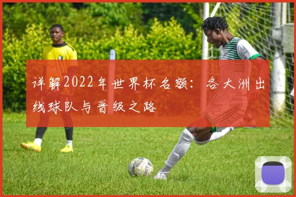 详解2022年世界杯名额：各大洲出线球队与晋级之路