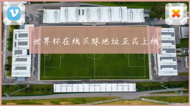 世界杯在线买球地址正式上线