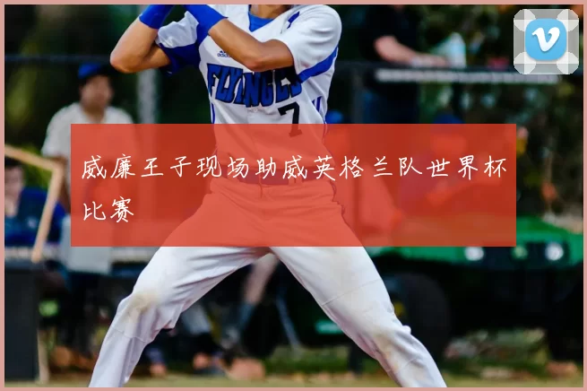威廉王子现场助威英格兰队世界杯比赛