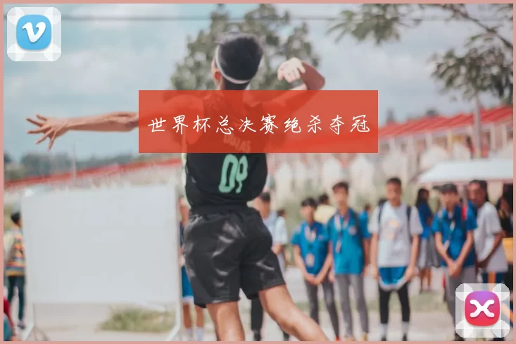 世界杯总决赛绝杀夺冠