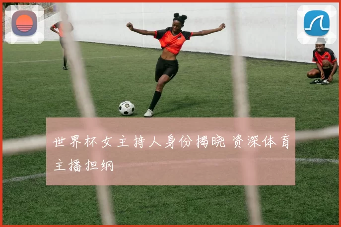世界杯女主持人身份揭晓 资深体育主播担纲