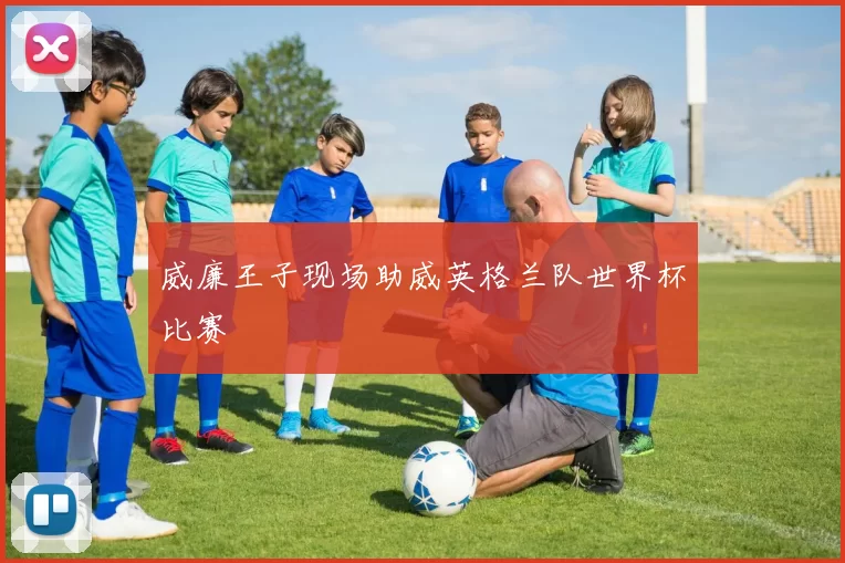 威廉王子现场助威英格兰队世界杯比赛
