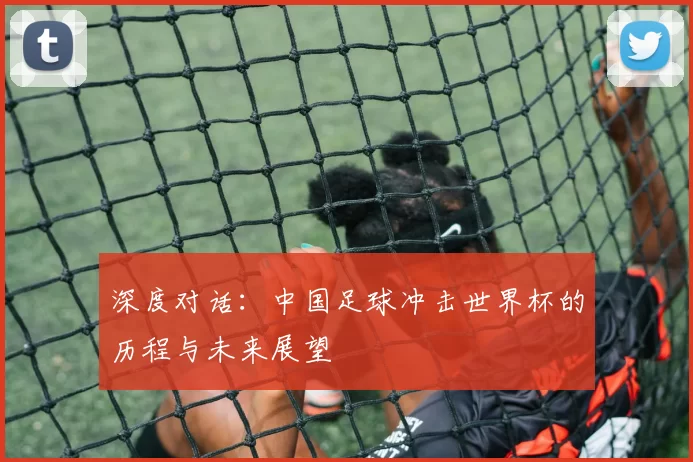 深度对话:中国足球冲击世界杯的历程与未来展望